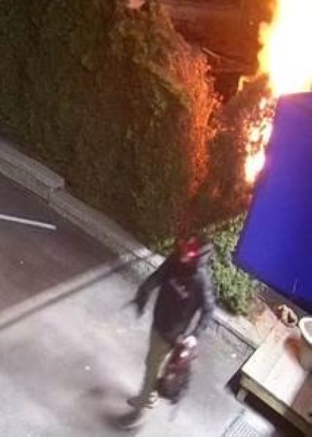 A photo of the described suspect walks away from a blazing hedge with a backpack in his hand. 