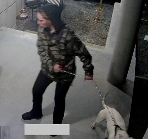 Mounties seeking assistance to identify theft suspect  